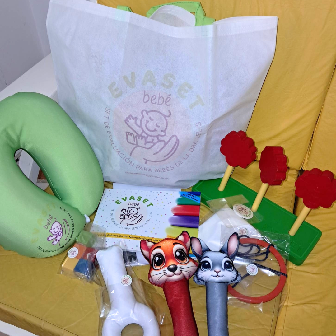evasetbebe_012_bolsa